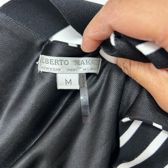 Alberto Malaki Sheath Stripe Mini Dress - Picture 3 of 4